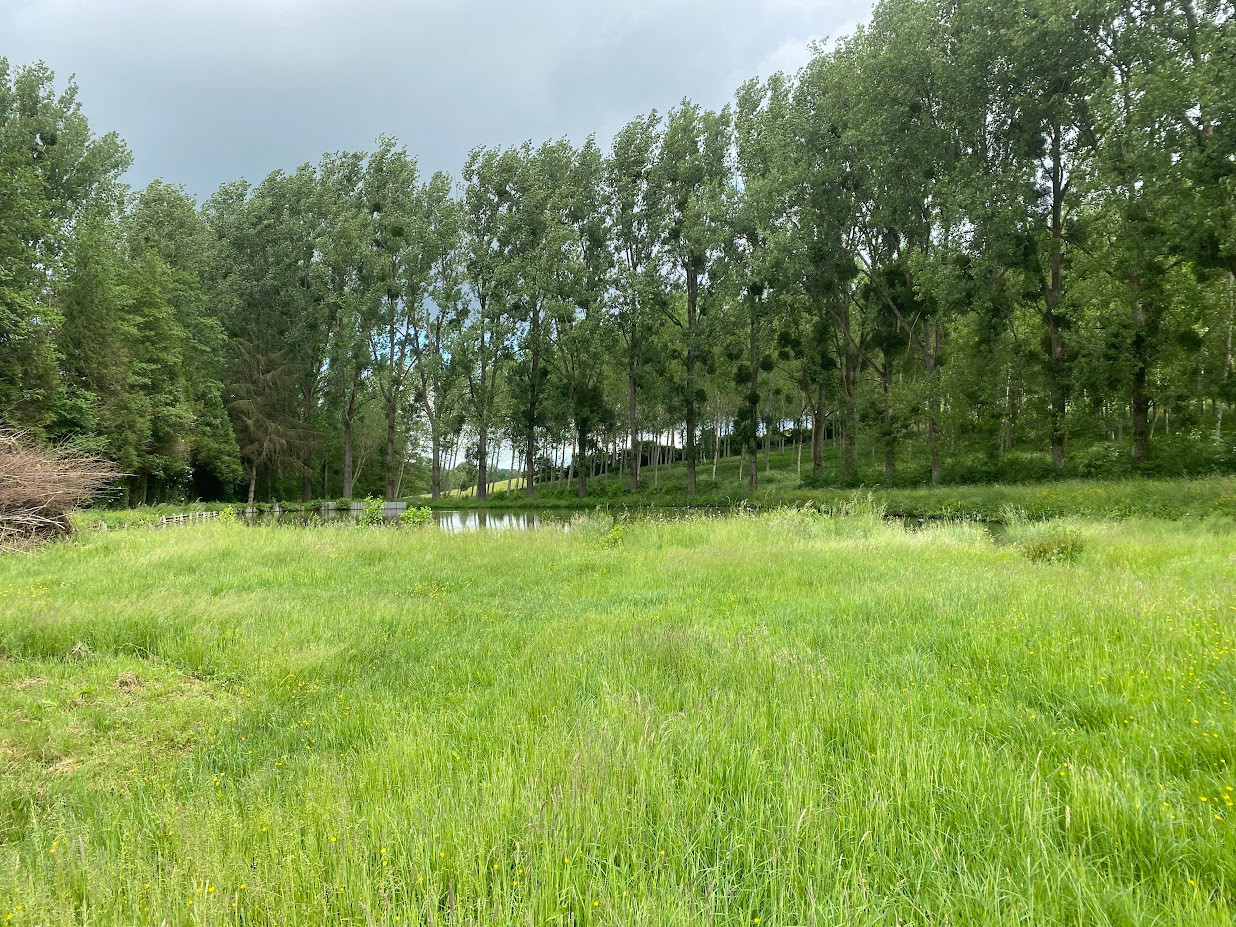 PROPRIETE RURALE NORD AISNE - Terrains - Hauts-de-France - photo 4