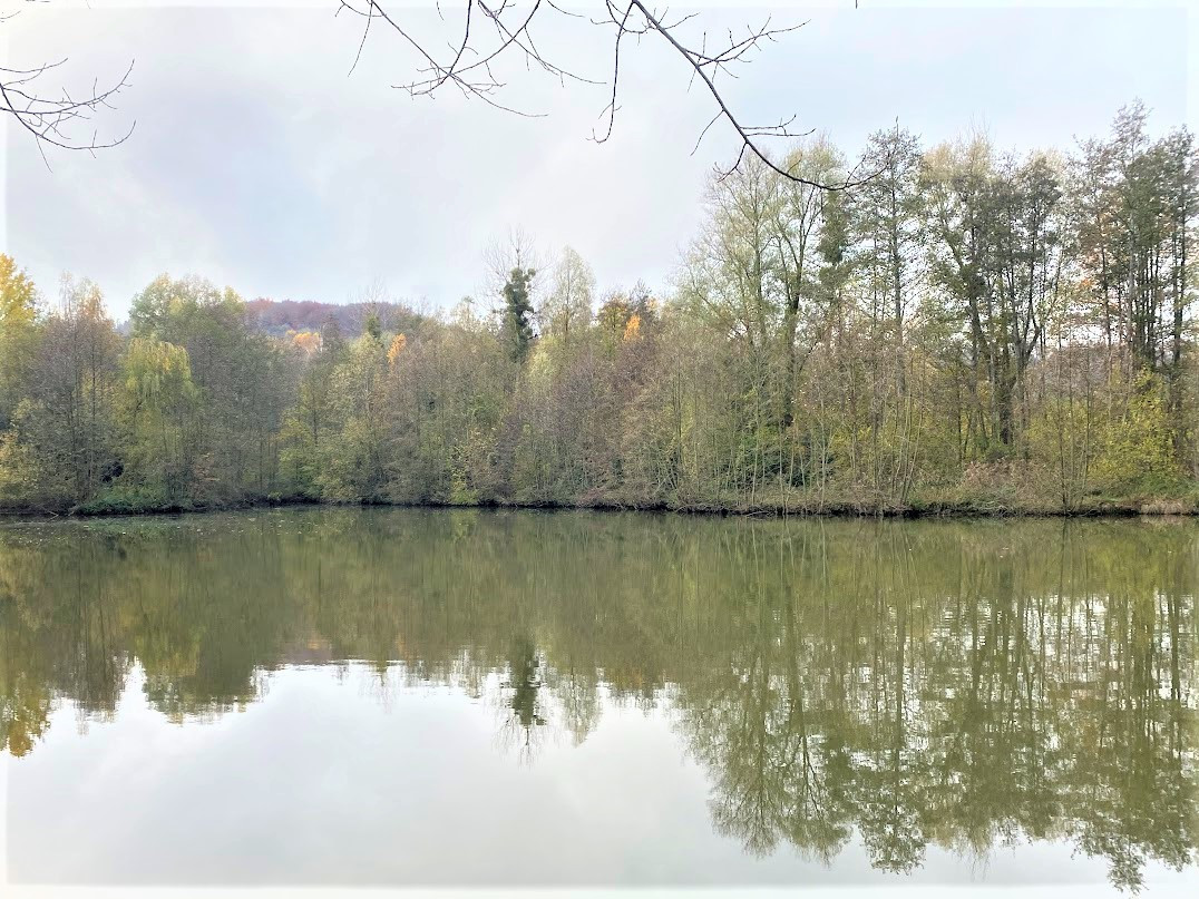 BOIS DE 23.5 HA SUD LAON - Terrains - Hauts-de-France - photo 5