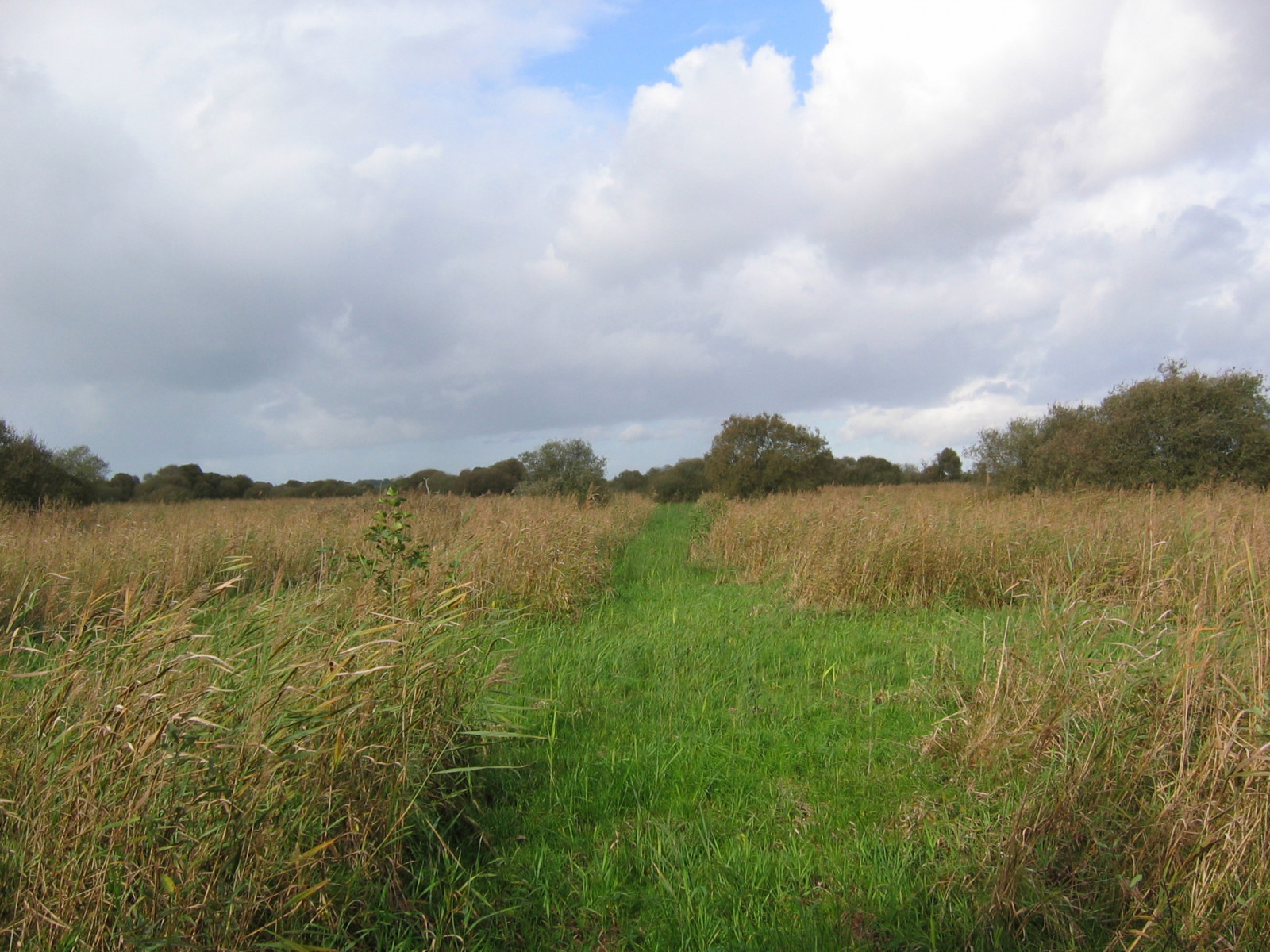 Marais tourbeux sur 6 Ha avec etangs, huttes...