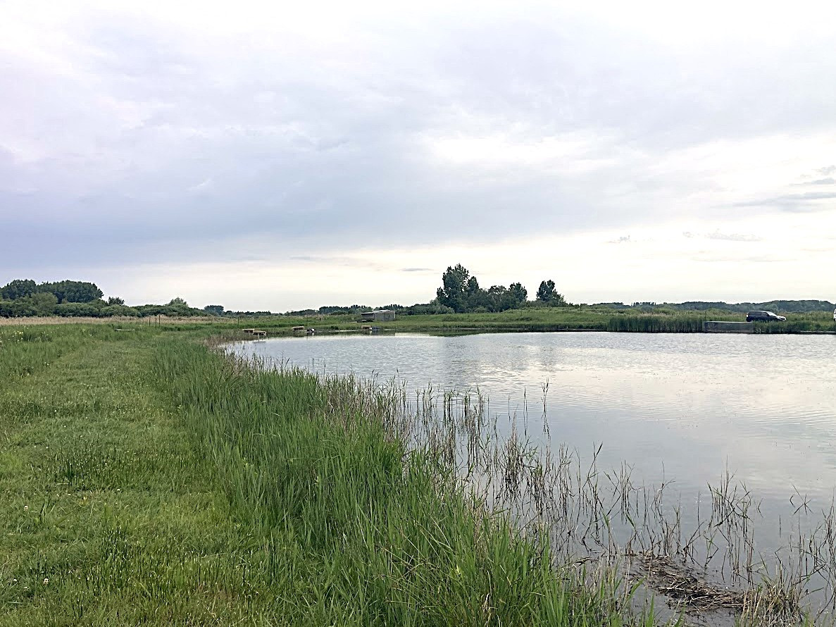 Hutte de chasse dans le marais de Merlimont