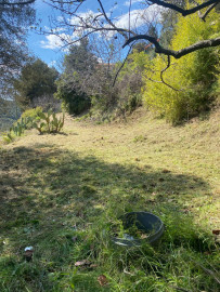 Vente
                                                                                .