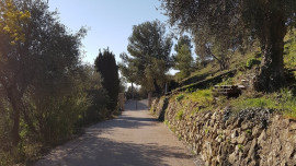 
                                                                                        Vente
                                                                                         .