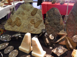 
                                                                                        Collection
                                                                                         21ème Bourse exposition de minéraux et fossiles