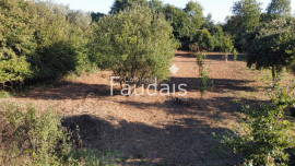 
                                                                                        Vente
                                                                                         A 10mn de SAINT-LO - en campagne