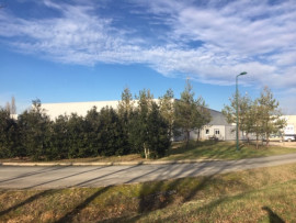 
                                                                                        Location
                                                                                         À louer – Locaux industriels de 1 243 m² à Giroussens (81)
