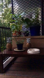 
                                                                                        Location
                                                                                         A louer Superbe T2 meublé merignac à 400m du tram