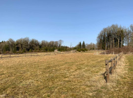 
                                                                                        Vente
                                                                                         À vendre - Centre de vacances et d'accueil de 51 hectares à Sainte-Marie-Lapanouze – Corrèze (19)