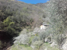 Vente
ancienne bergerie