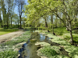
                                                                                        Vente
                                                                                         ANCIENNE SEIGNEURIE DU XVIIe CHARENTE-MARITIME 10 HA