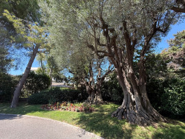 Vente
Antibes - Superbe appartement 3 pièce(s) 64m2 env Terrasse Piscine Garage Cave