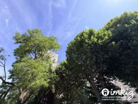 
                                                                                        Vente
                                                                                         Appartement 1 pièce