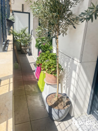 
                                                                                        Vente
                                                                                         Appartement 2 pièces