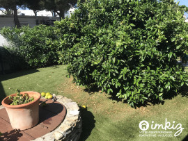 
                                                                                        Vente
                                                                                         Appartement 3 pièces