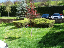 
                                                                                        Vente
                                                                                         Appartement 4 pièces vue sur la vierge