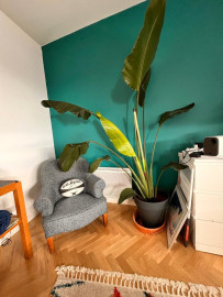 
                                                                                        Location
                                                                                         Appartement 50 m² à villejuif au calme  ligne 7