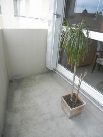 
                                                                                        Location
                                                                                         appartement meublé 2 pièces 39 m²