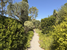 
                                                                                        Vente
                                                                                         Appartement  - Studio  - 18.49 m²