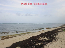 Vente
Appartement T3 rés. Crystal Beach Saint-François