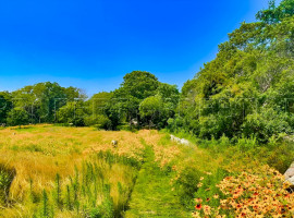 Vente
ARDECHE FERME 48 HA RUISSEAU SOURCES