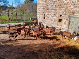Vente
ARDECHE FERME 48 HA RUISSEAU SOURCES