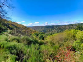 Vente
ARDECHE FERME 48 HA RUISSEAU SOURCES