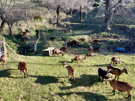 Vente
ARDECHE FERME 48 HA RUISSEAU SOURCES