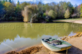 Vente
ARIEGE PROPRIETE FORESTIERE 54 HA