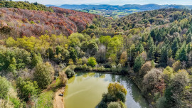 Vente
ARIEGE PROPRIETE FORESTIERE 54 HA