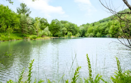 
                                                                                        Vente
                                                                                         AUDE DOMAINE TOURISTIQUE 9 HA LACS