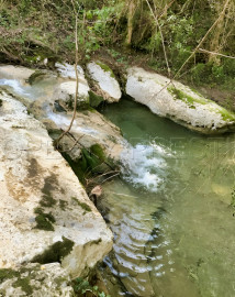 Vente
AUDE PROPRIETE ECOLOGIQUE GITES 180 HA