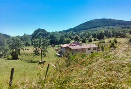 Vente
AUVERGNE ANCIEN MOULIN GITES ET CHAMBRES D’HOTES