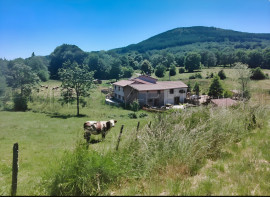 Vente
AUVERGNE ANCIEN MOULIN GITES ET CHAMBRES D’HOTES