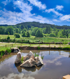 Vente
AUVERGNE ANCIEN MOULIN GITES ET CHAMBRES D’HOTES