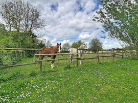 
                                                                                        Vente
                                                                                         Axe GRANVILLE-COUTANCES - Maison anglo-normande avec chambre