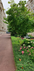 
                                                                                        Location
                                                                                         Beau 2 pièces meublé, lumineux et refait à neuf