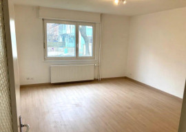 
                                                                                        Location
                                                                                         Beau F1 entièrement rénové de 32m² et très calme