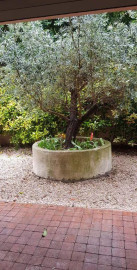 
                                                                                        Location
                                                                                         Beau T3 meublé 59 m2 avec jardin à Montpellier