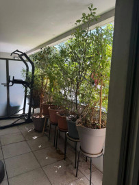 
                                                                                        Location
                                                                                         Beau T3 meublé 67m2 avec terrasse