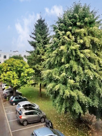 
                                                                                        Location
                                                                                         Bel appartement rénové, ensoleillé et lumineux