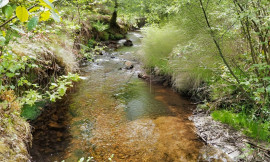 
                                                                                        Vente
                                                                                         BRETAGNE PROPRIETE AVEC SON MOULIN 20 HA ETANG