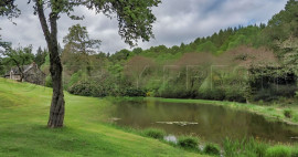 
                                                                                        Vente
                                                                                         BRETAGNE PROPRIETE AVEC SON MOULIN 20 HA ETANG