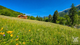 
                                                                                        Vente
                                                                                         Briançon - Terrain à bâtir 994 m² - PC accordé