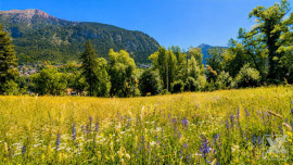 
                                                                                        Vente
                                                                                         Briançon - Terrain à bâtir 994 m² - PC accordé