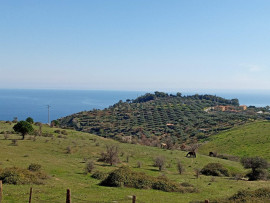 
                                                                                        Vente
                                                                                         Calabre, villa/ch. d'hôtes vue mer à terminer