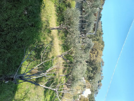 
                                                                                        Vente
                                                                                         Calabre, villa/ch. d'hôtes vue mer à terminer