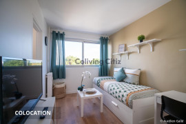 
                                                                                        Colocation
                                                                                         Chambre en colocation