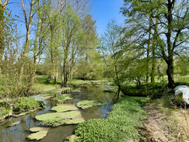 
                                                                                        Vente
                                                                                         CHARENTE MARITIME MANOIR DE CHARME 20 HA RIVIERE