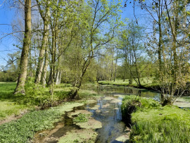
                                                                                        Vente
                                                                                         CHARENTE MARITIME MANOIR DE CHARME 20 HA RIVIERE