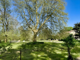 
                                                                                        Vente
                                                                                         CHARENTE MARITIME MANOIR DE CHARME 20 HA RIVIERE