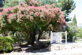 Vente
Charmante maison S France - offres plus de 320K